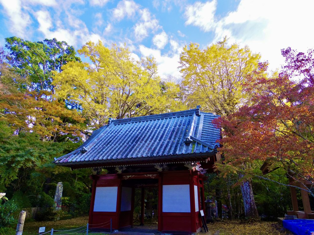 小松寺門裏